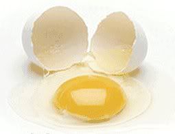 egg broken Pictures, Images and Photos