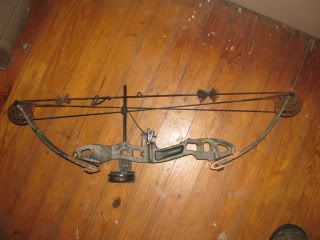 Alpine Micro Bow