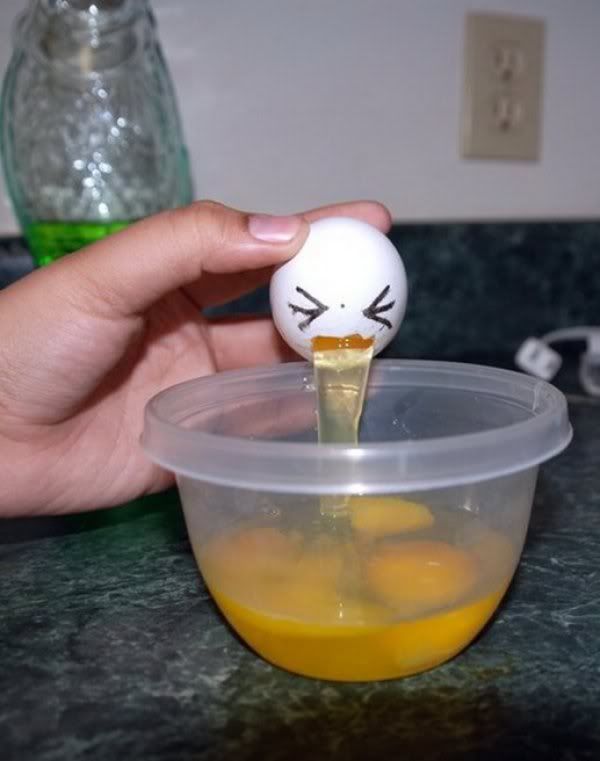 [Image: eggpuke.jpg]