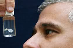 [Image: irukandji-jellyfish-200801.jpg]