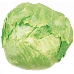 [Image: lettuce_zpsc543fd09.jpg]