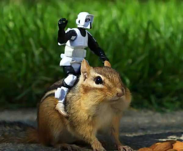 [Image: stormhamster.jpg]