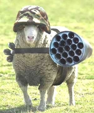 [Image: warriorsheep.jpg]