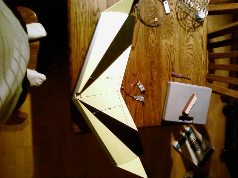 SP_A0391.jpg