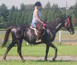 http://i159.photobucket.com/albums/t124/jp2juli/java7.jpg