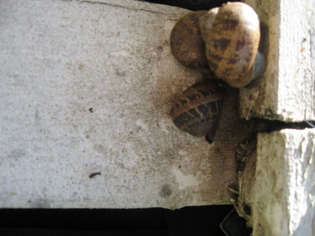 Photobucket - Video and Image Hosting