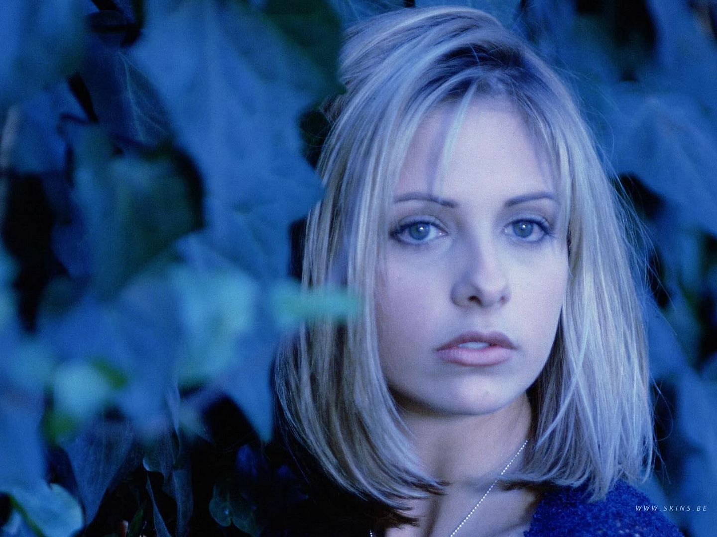 Sarah Michelle Gellar Colection - Picture Hot