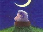 The good night pc