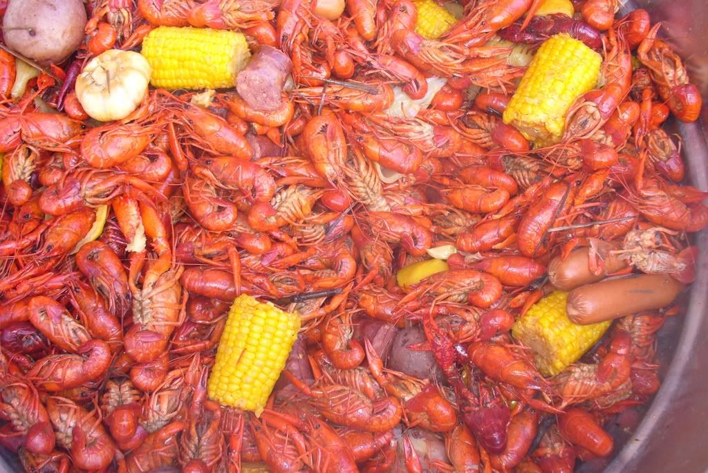 crawfish Pictures, Images and Photos