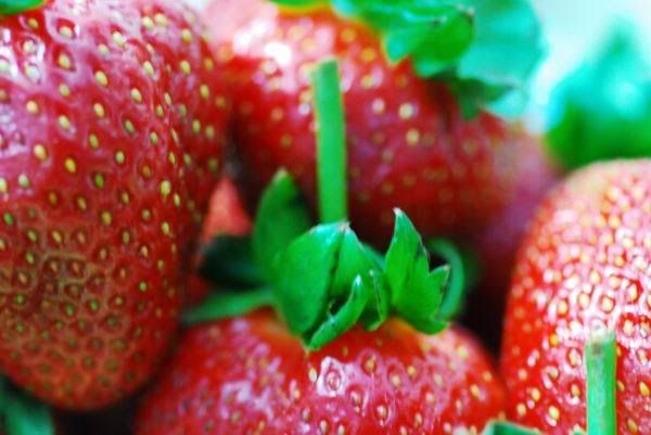 LOVE Strawberry