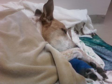 on the floor of the cardio room and we stayed there, IV pole and all. on the floor of the cardio room and we stayed there, IV pole and all.