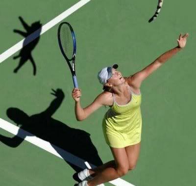 graciosas-tenis.jpg gato image icewolfxxi