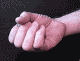 branlette.gif