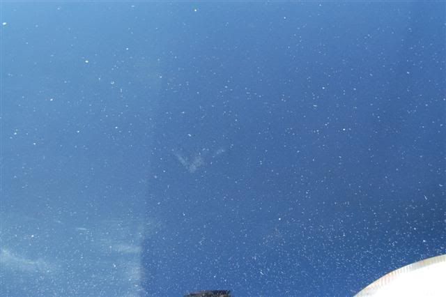DSC_5183Small.jpg