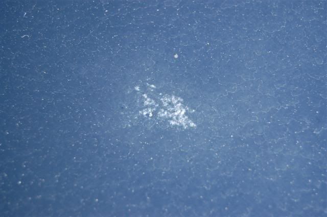 DSC_5186Small.jpg