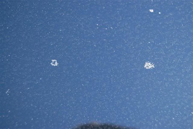 DSC_5187Small.jpg