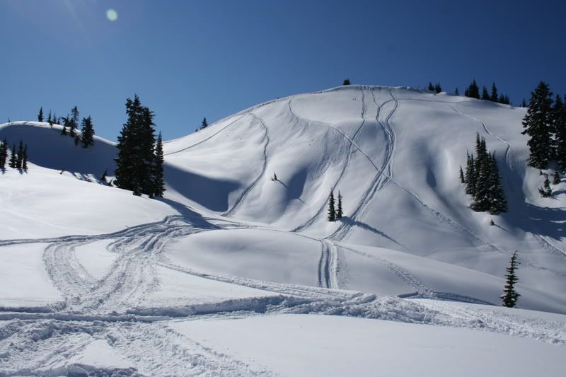 Sledding3-6-09005.jpg