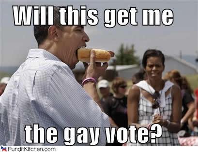 gay obama Pictures, Images and Photos