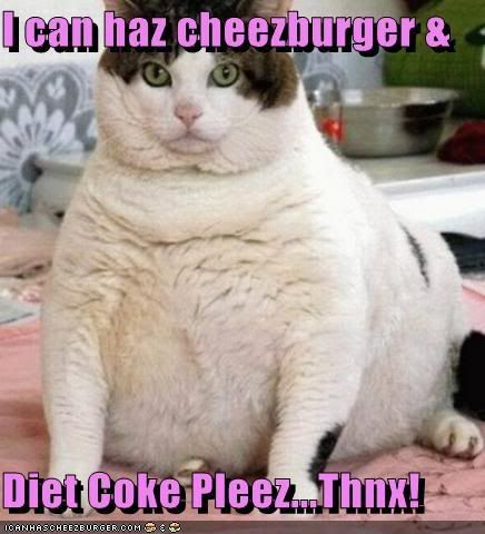 I can haz cheezburger and diet Coke? Pictures, Images and Photos