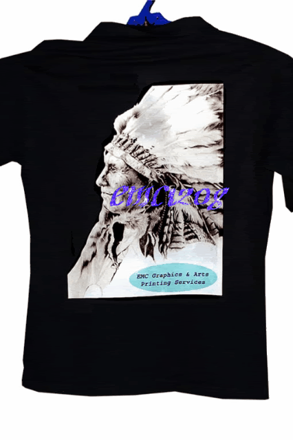 Indianchief.gif picture by emc1208