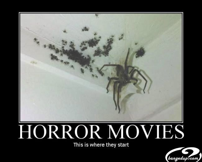 Scary Spiders Pictures, Images and Photos