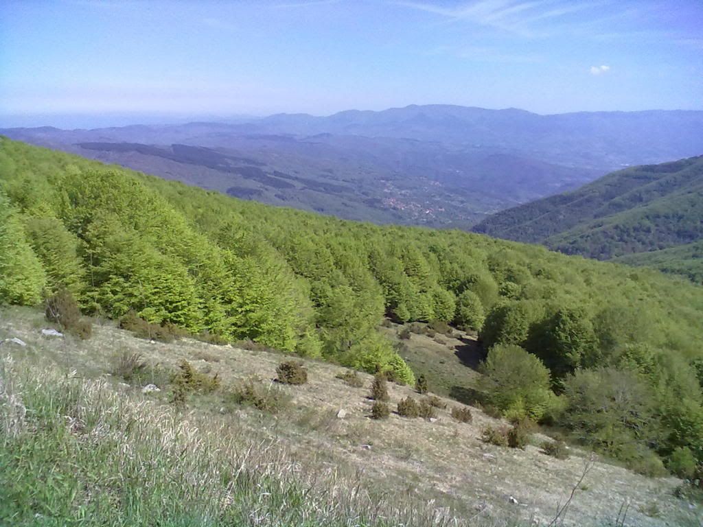 12052012437.jpg