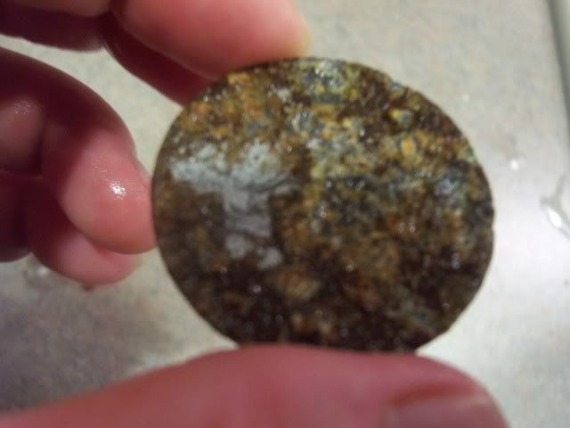 101_7051.jpg