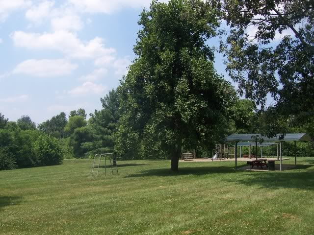 101_7381.jpg