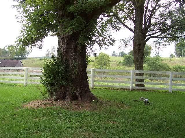 101_8060.jpg
