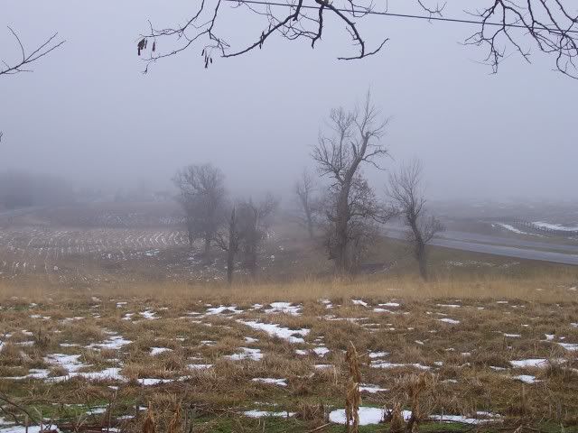 101_9274.jpg