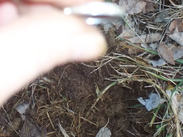 101_9319.jpg