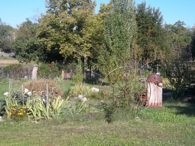 104_1692.jpg
