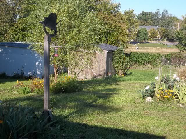 104_1694.jpg