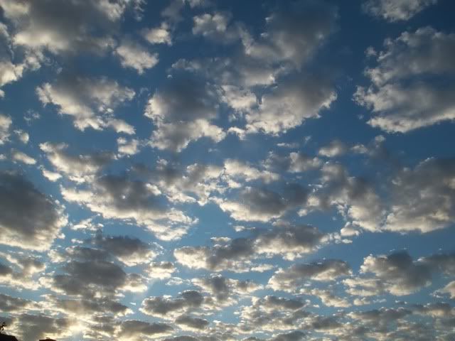 104_1734.jpg