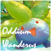 OddiumWanderus.png