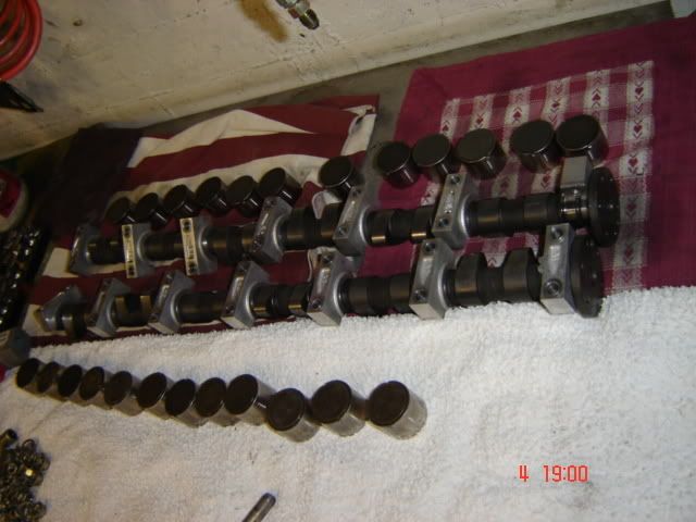 DSC01632.jpg