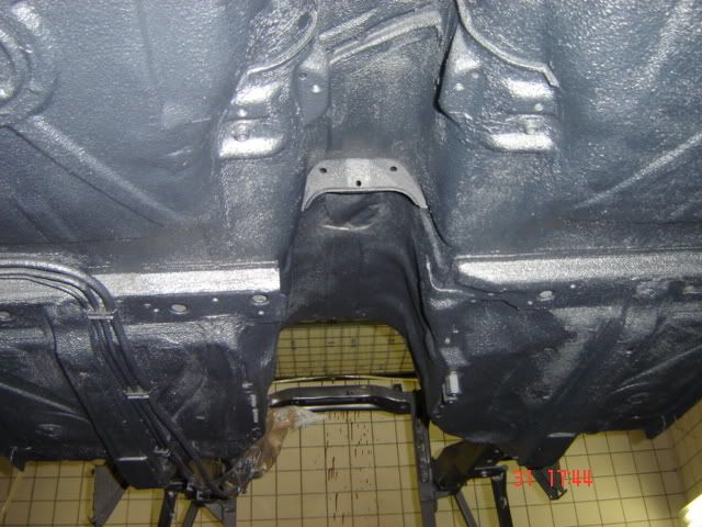 DSC01784.jpg