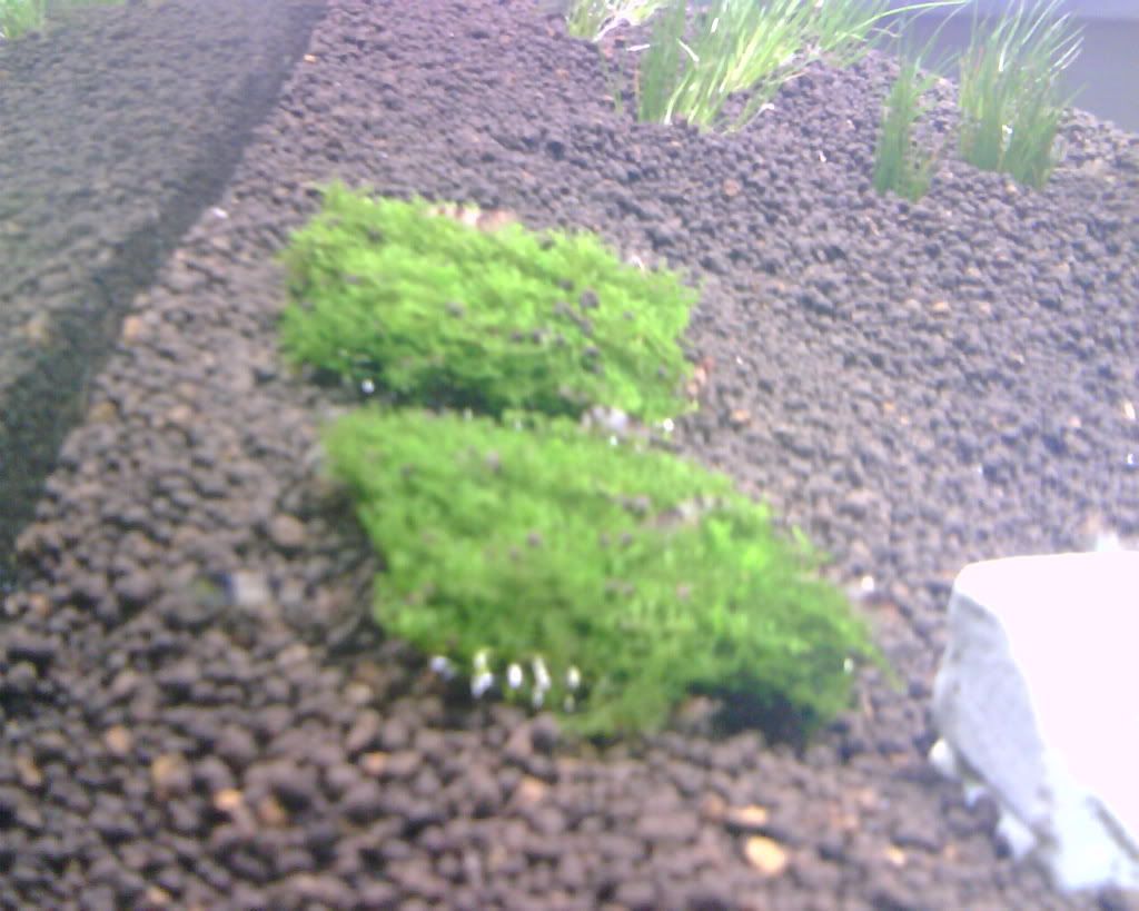 圖檔