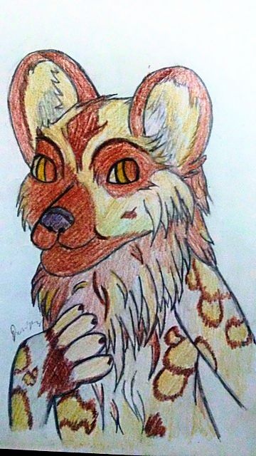 20160923_110052_zpshkkobf9h.jpg?t=147468