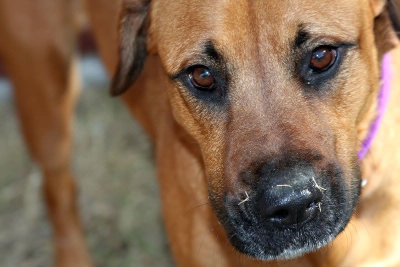 IMAGE: http://i159.photobucket.com/albums/t138/iceschlie/George.jpg