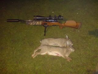 rabbit150209.jpg