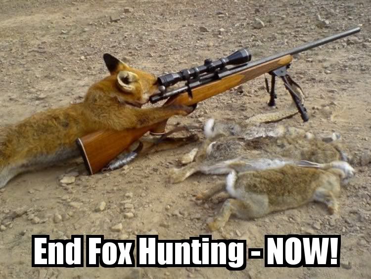 FoxHunting.jpg