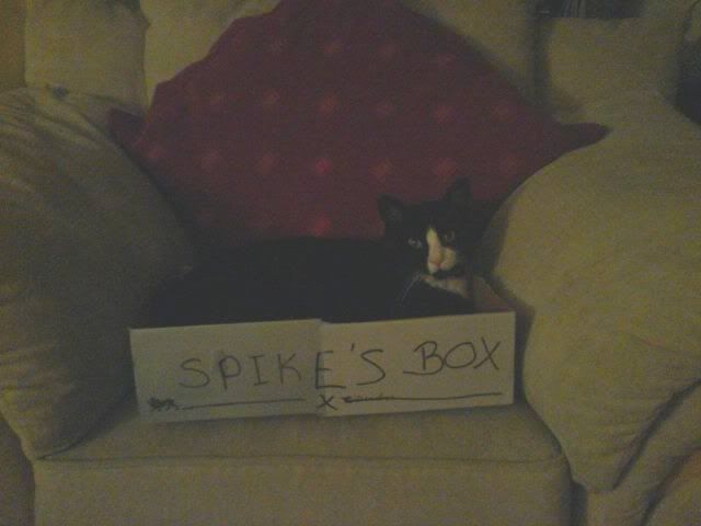 Spike1.jpg