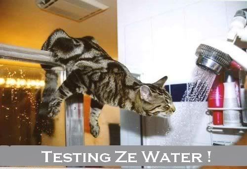 Testthewater1.jpg