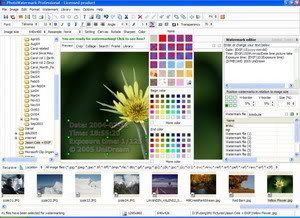 PhotoWatermark Professional v7.0.2.0