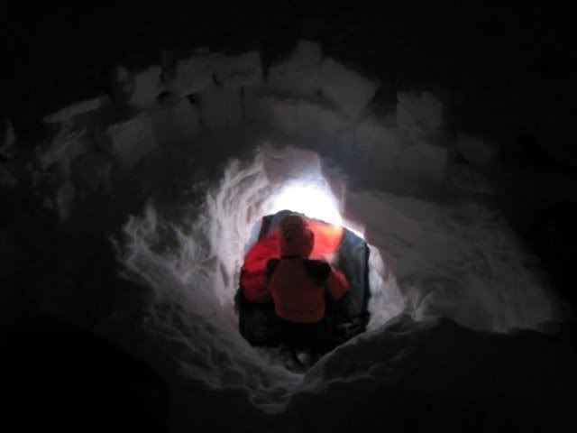 snowpit.jpg