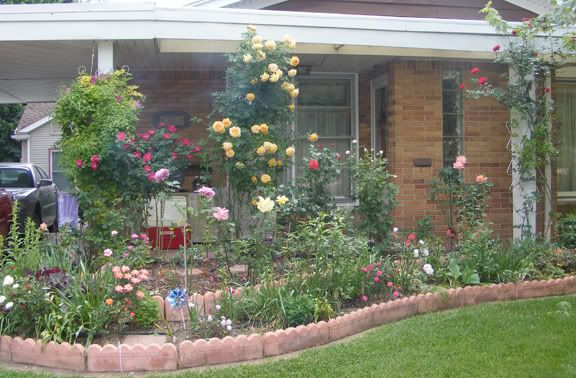 Front Rose Bed June 2010