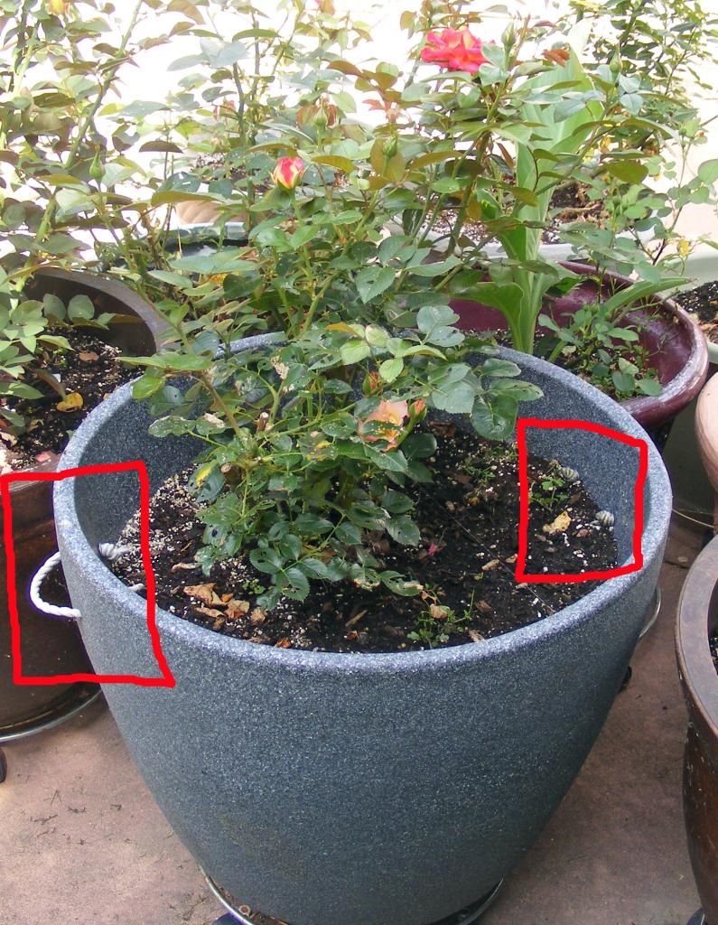 Pot Handles photo 2014_07170042_zpsd52b30c7.jpg