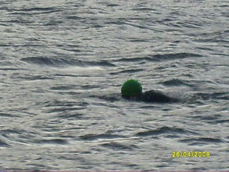 نقره لتكبير أو تصغير الصورة ونقرتين لعرض الصورة في صفحة مستقلة بحجمها الطبيعي