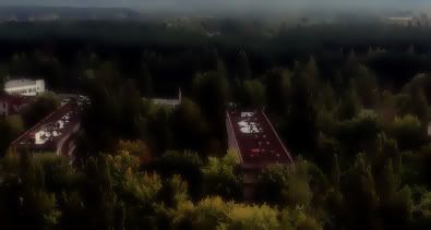 aerea.jpg